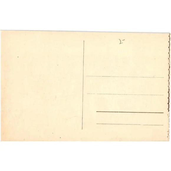 49 Tunis - L'hotel Majestic Postcard - Picture 2 of 2